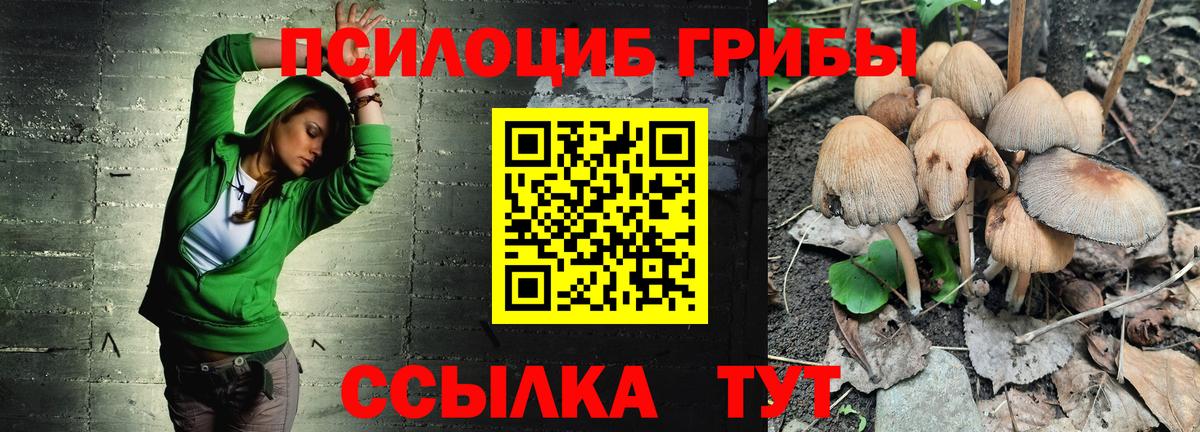 Баксан  Галлюциногенные грибы Psilocybine cubensis  Вход с VPN 